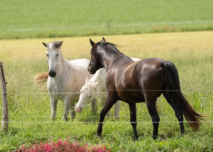 Domaine De La Cambre *