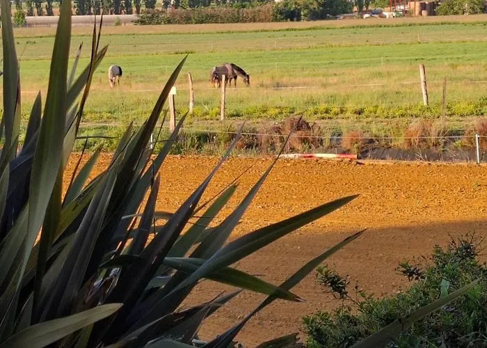 Domaine De La Cambre Camping Duffort